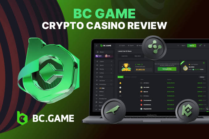 The Comprehensive Guide to BC.Game Platform A New Era in Online Gaming