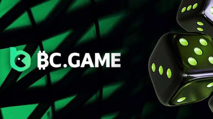 Understanding the BC.Game Mirror Login Process -238220322